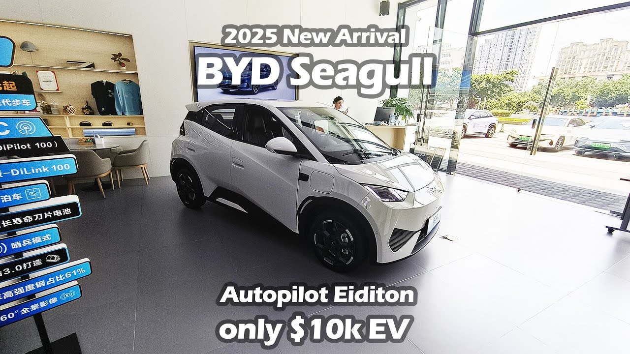 2025 New BYD Seagull Intelligent Driving Edition 305KM Freedom Model  - Big Bear Test Car