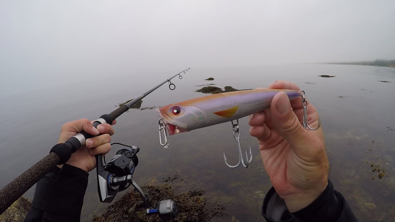 Foggy Morning Surf Fishing - Breaking in the 5000 Tsunami Evict
