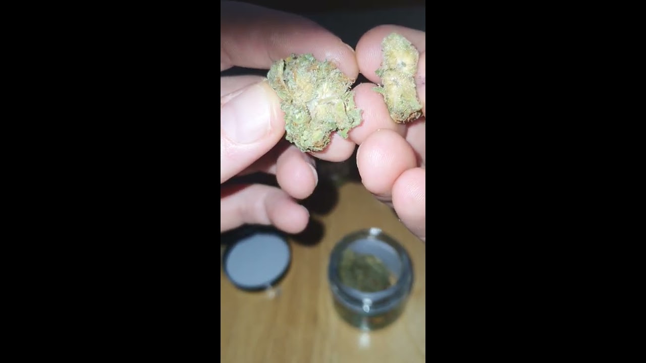 frosted dank genetics jaffa cake cookies  🔥 UK Bang Bang weed review