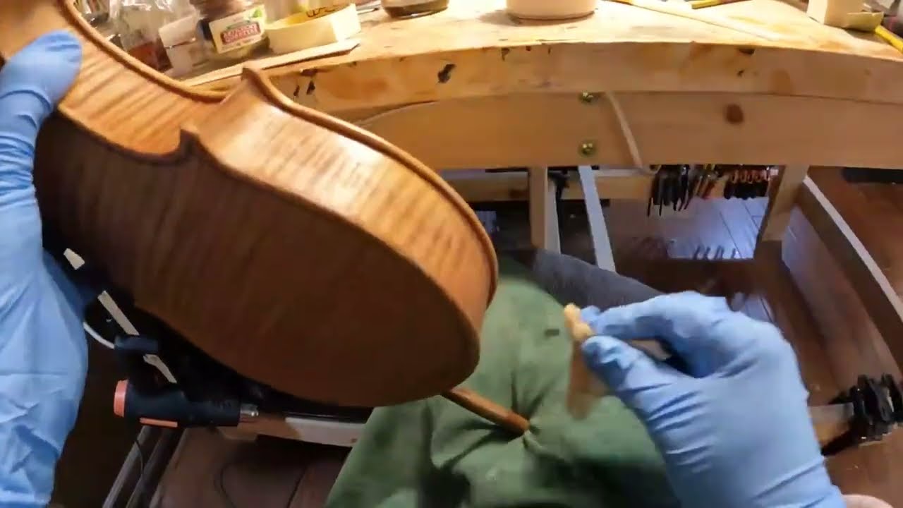 Live 🎻🎥 sealing time!  🌺 Verbena