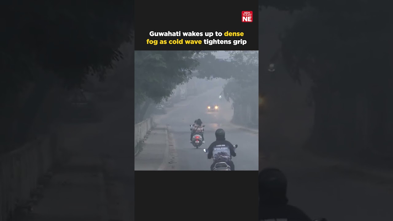 Guwahati wakes up to dense fog as cold wave tightens grip