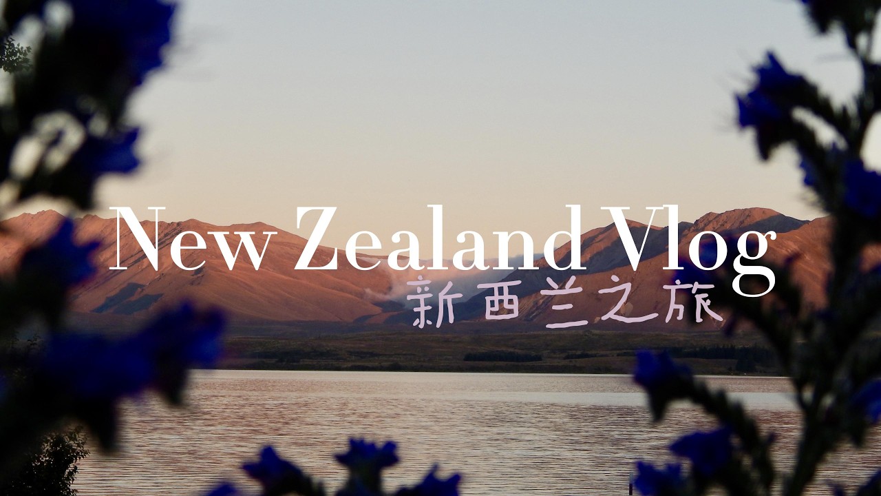 New Zealand Vlog