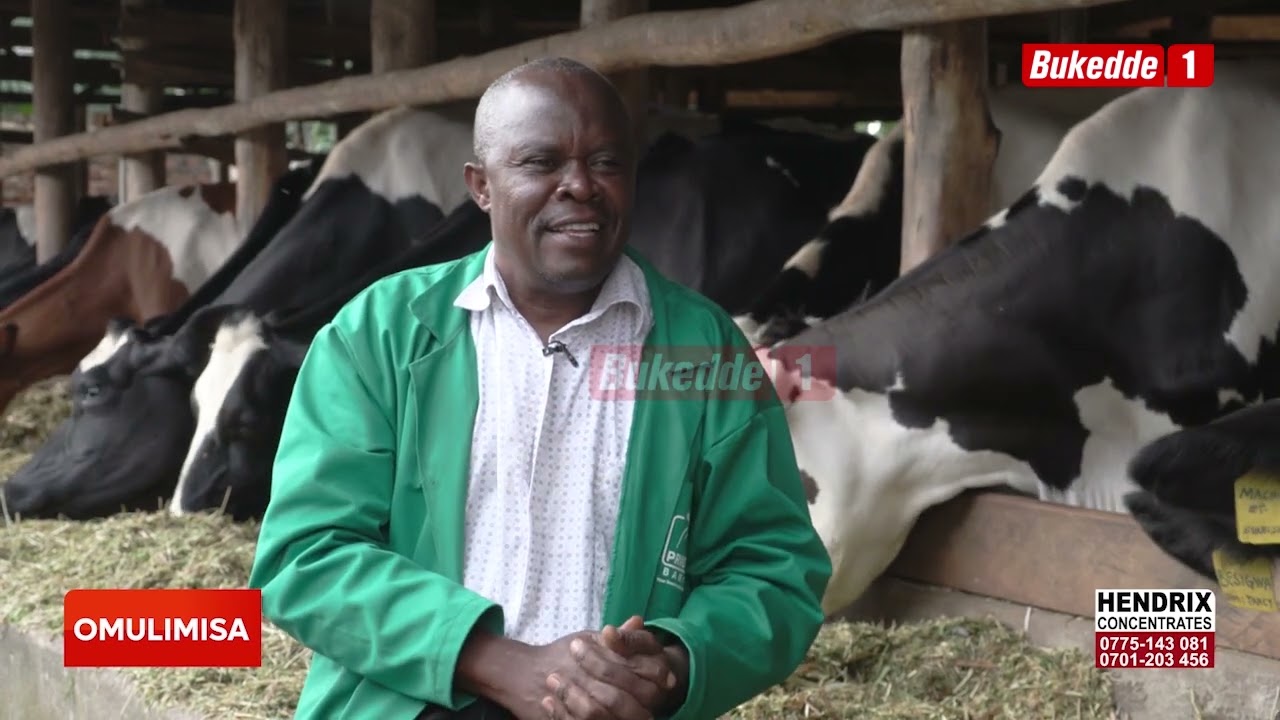 Omulimisa Endabirira n'endiisa y'ente eyekikugu