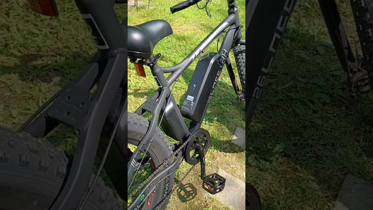 Ecotric cheetah