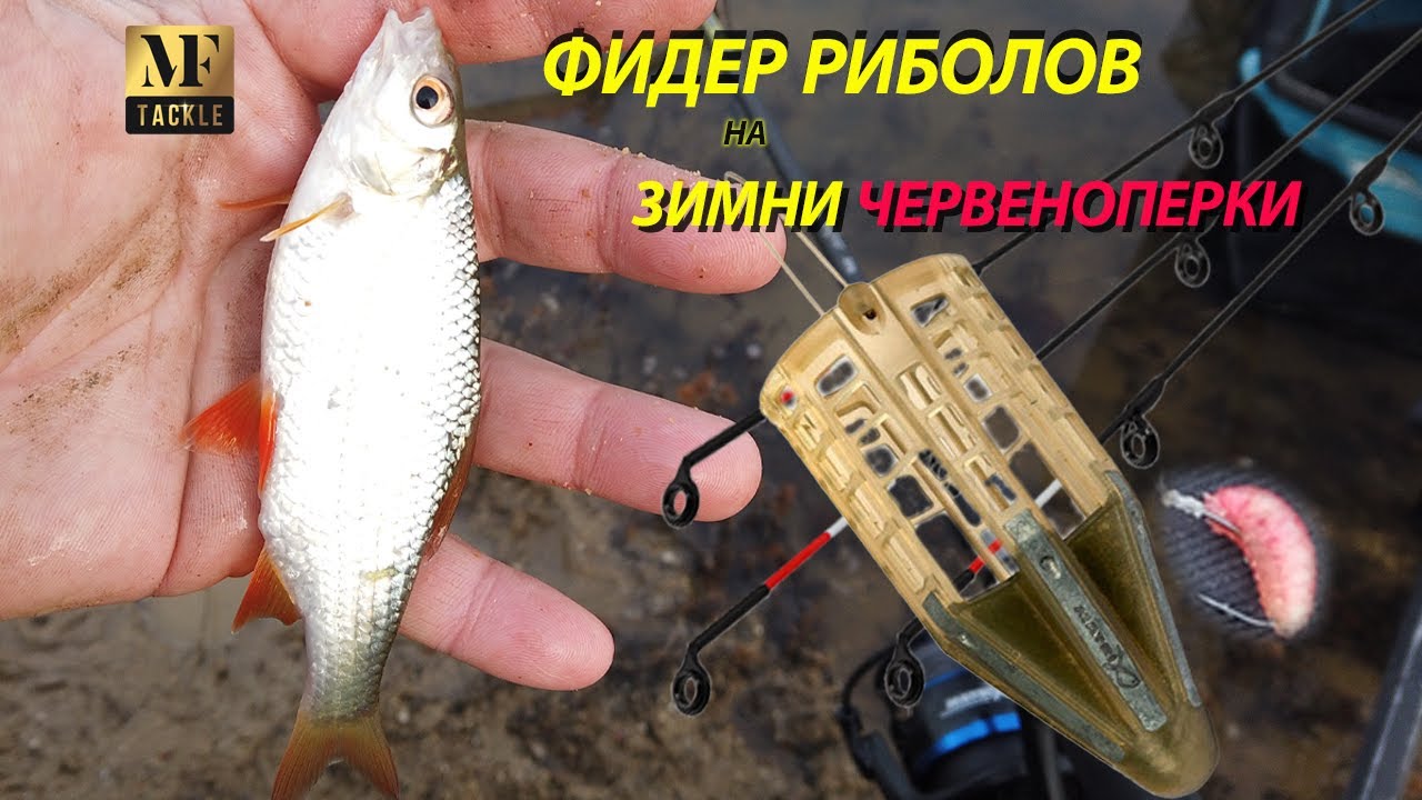 Фидер риболов на червеноперки - Feeder Fishing