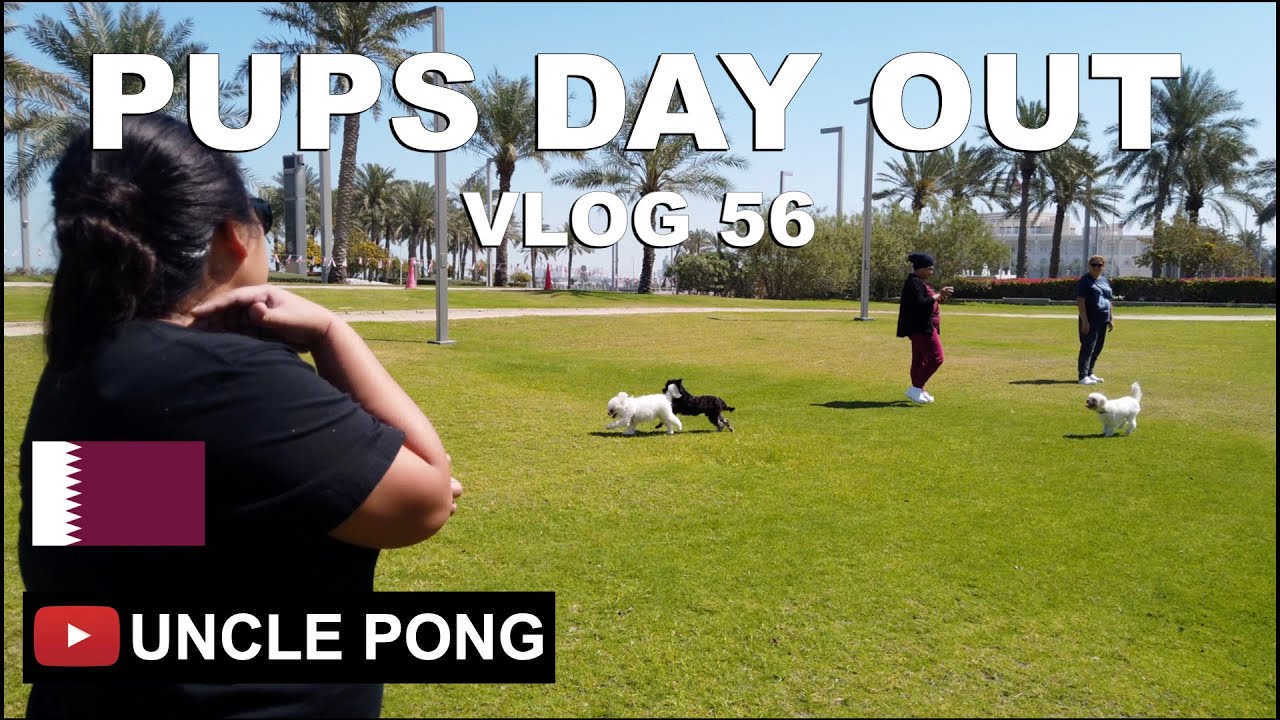 PUPS DAY OUT - VLOG 56