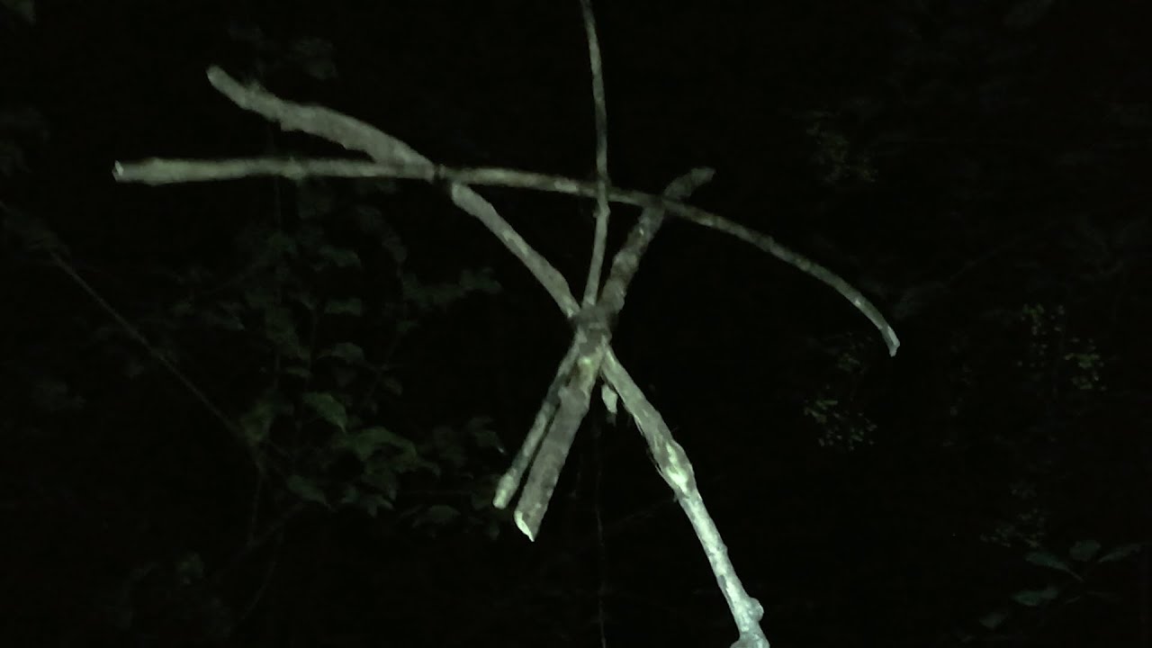 BlackHills.mov (Found Footage)