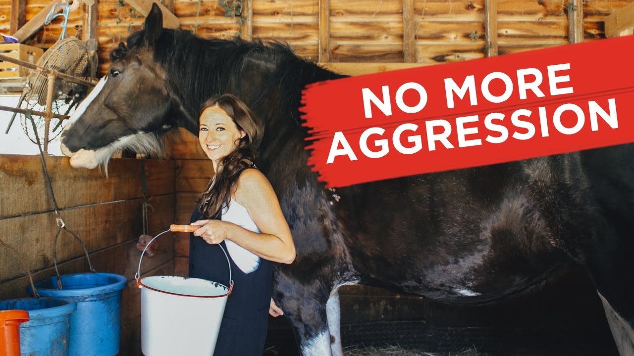 No More Misbehaving at Feeding Time