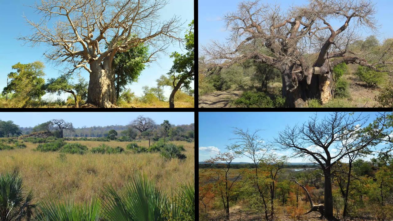 SA Ramsar - Makuleke