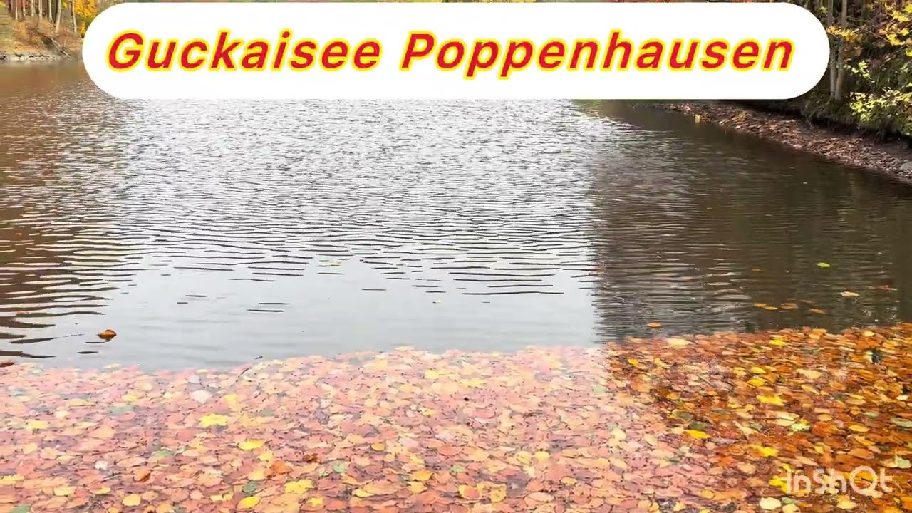Walking time in Guckaisee #healthyliving 
