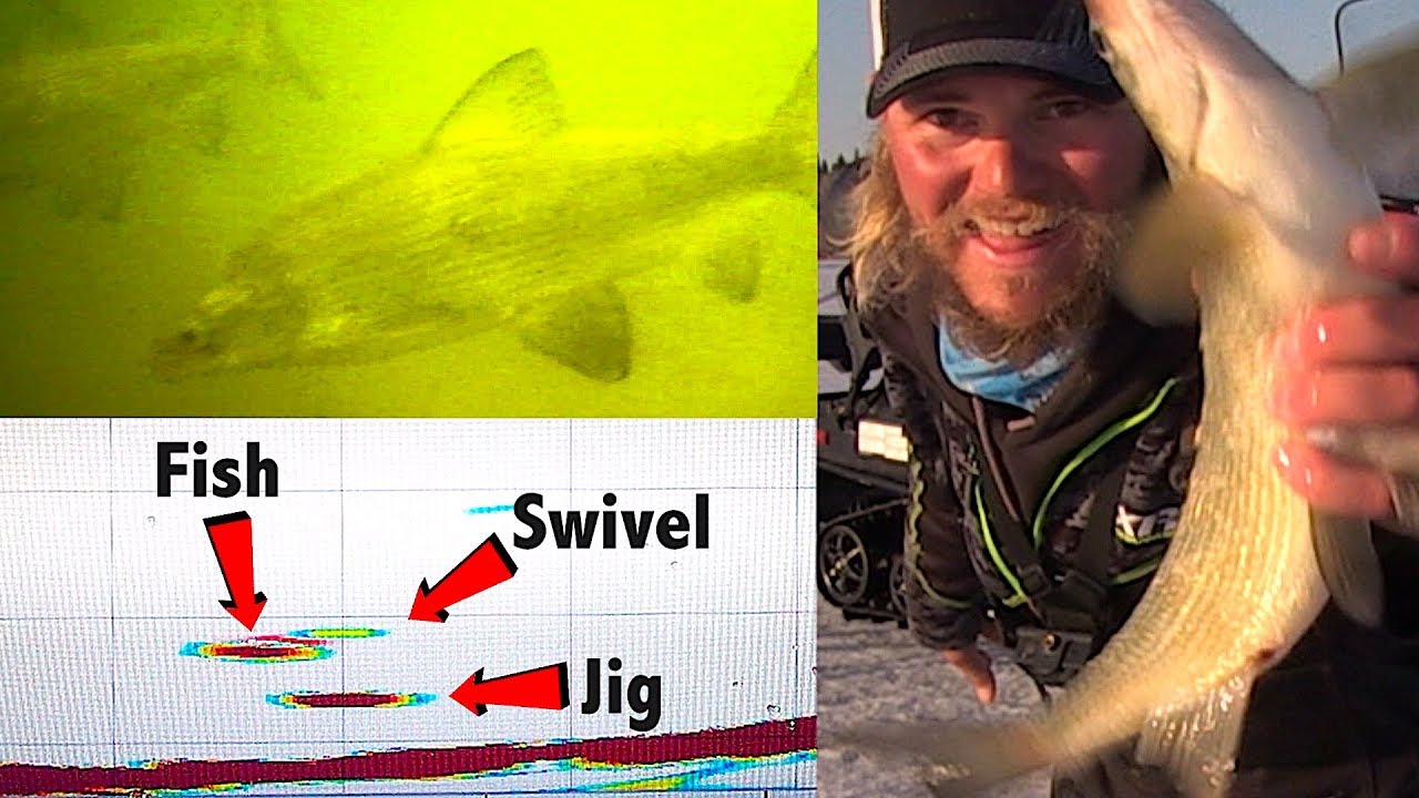 Whitefish SLAYDAY (подводные и панорамные виды)