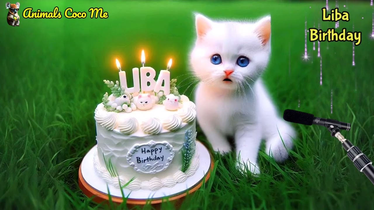 LIBA HAPPY BIRTHDAY SONG WITH NAMES | Adorable Cute Cat 😺