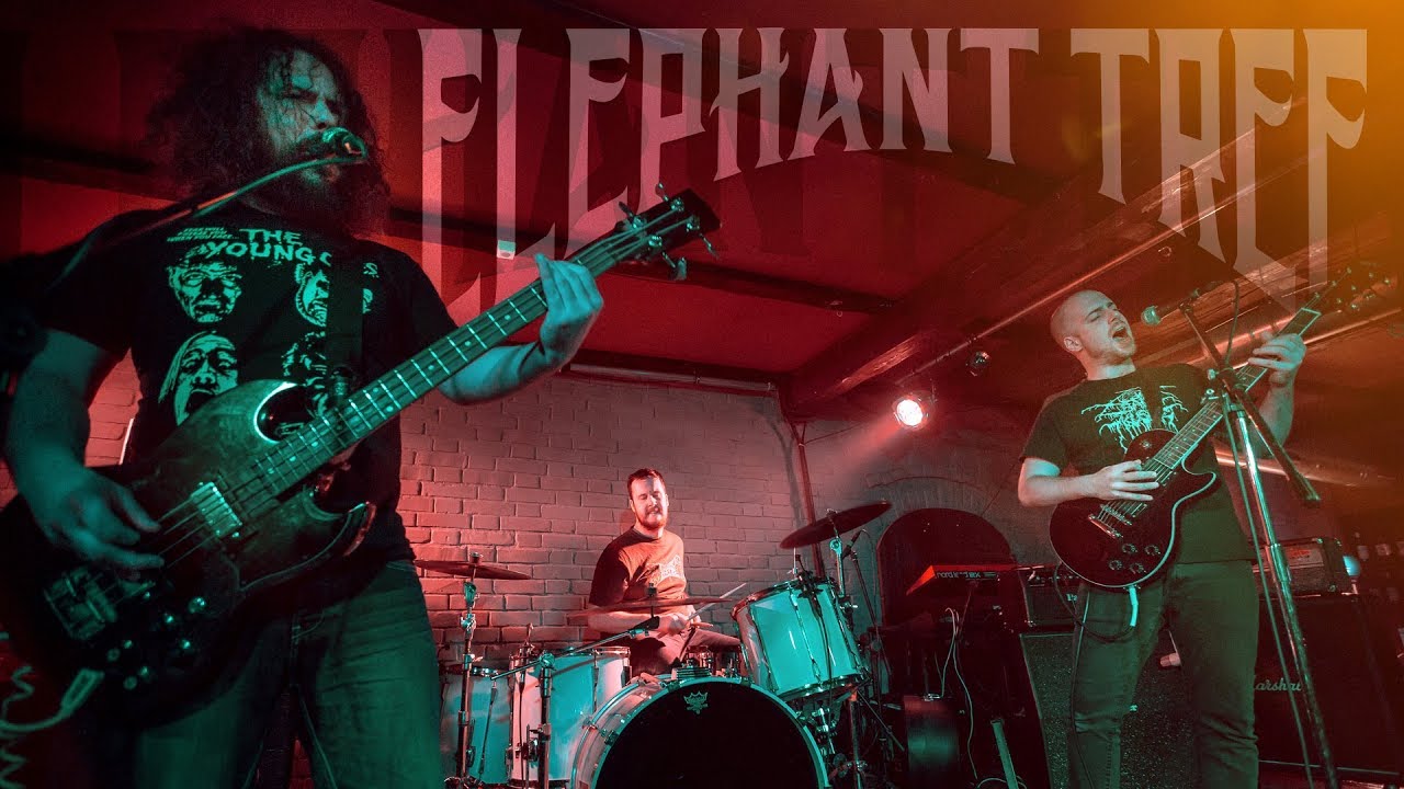 Elephant Tree - Dawn (HD Video + Full Sound Quality)