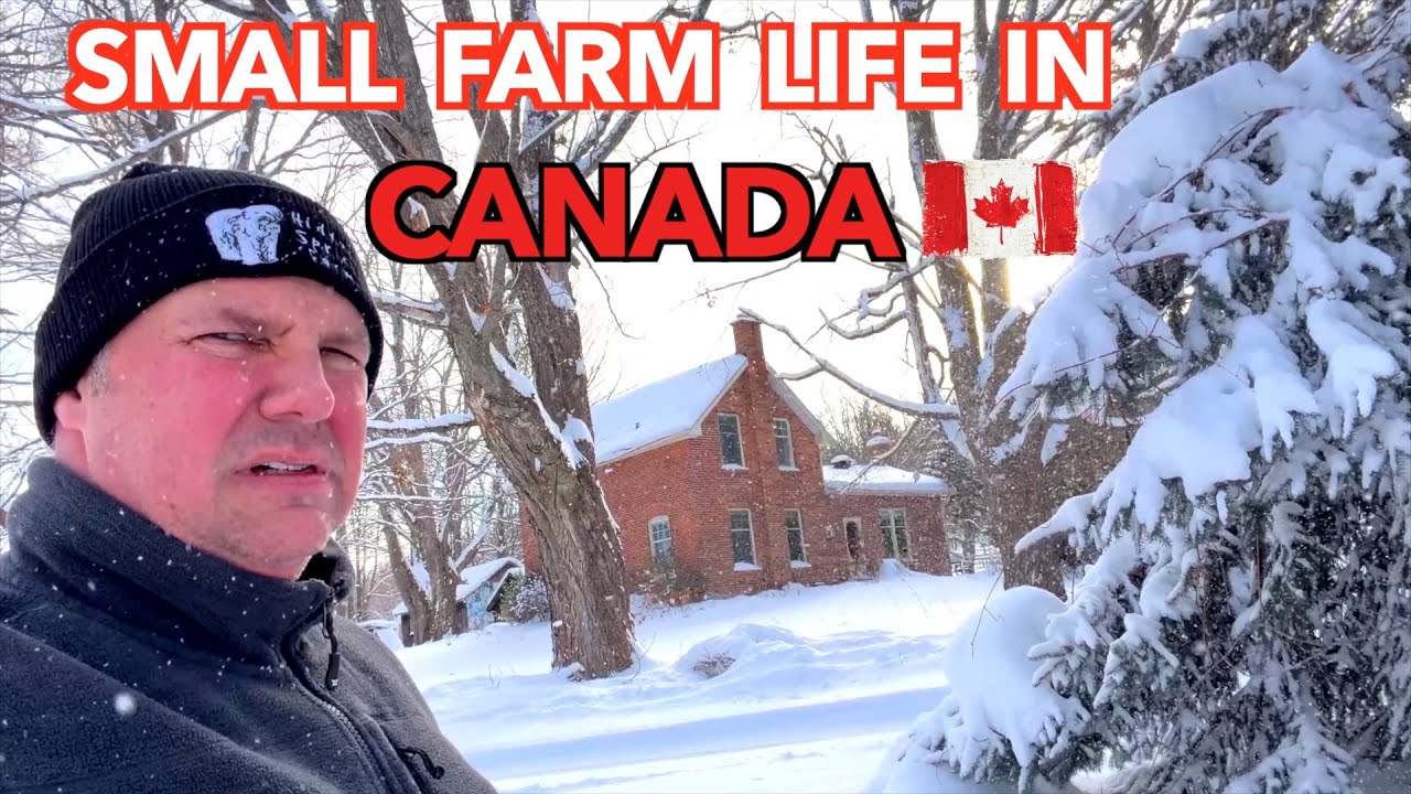 Farm Hit with Major Winter Weather Event | Small Farm Life in Canada