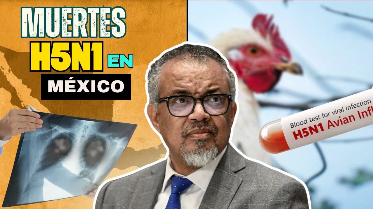 ¿La gripe aviar será la próxima pandemia en 2025?