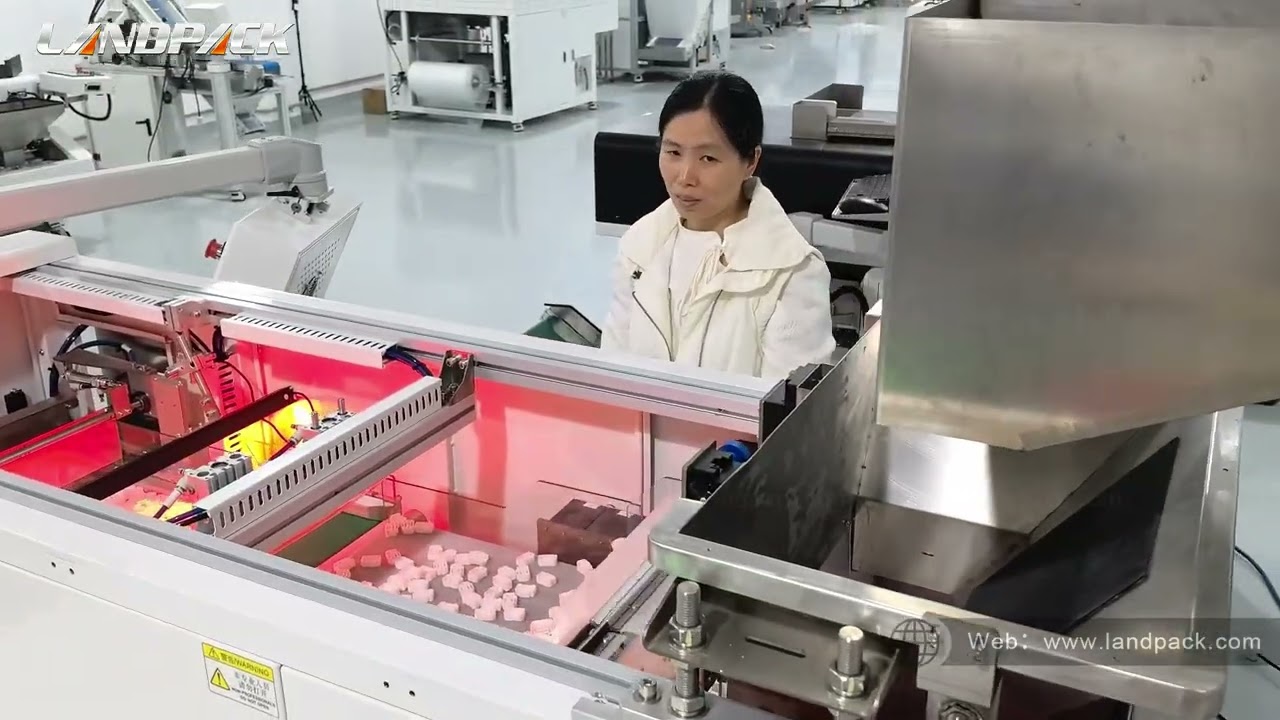 High Precision Fastener Plastic Hardware Visual Counting Packing Machine