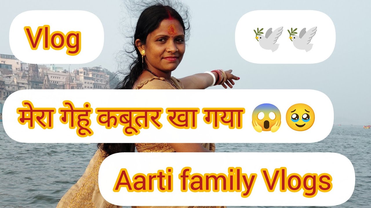 कबूतर ने सारा गेहूँ खा लिया 😂 | Desi Vlog🥹#aartifamilyvlogs#vloginglifestyle#trendingvideo 