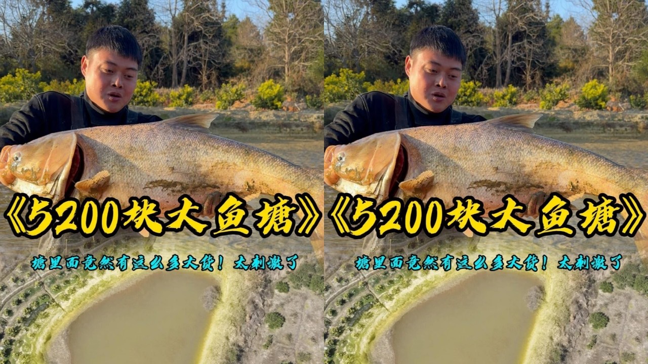 花5200元包下一口山坑鱼塘，没想里面竟然有奇怪的老龟！
