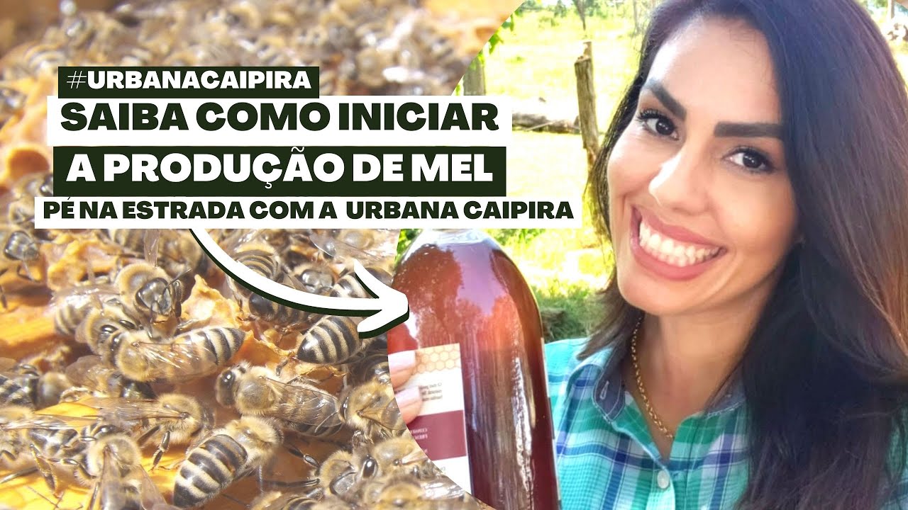 SAIBA COMO INICIAR A PRODUÇÃO DE MEL E MANEJO DE APIÁRIO