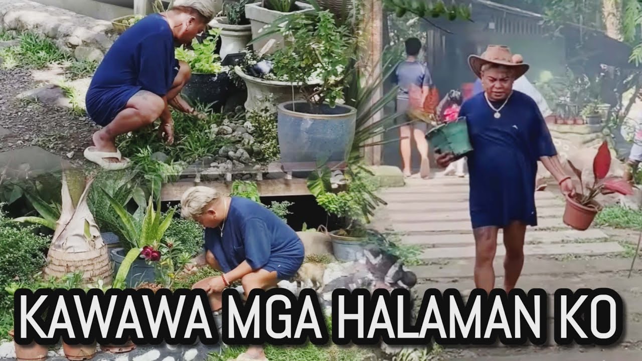 KAWAWA NAMAN MGA HALAMAN KO | ANONG NANGYARI !! #provincelife  #brendamage 