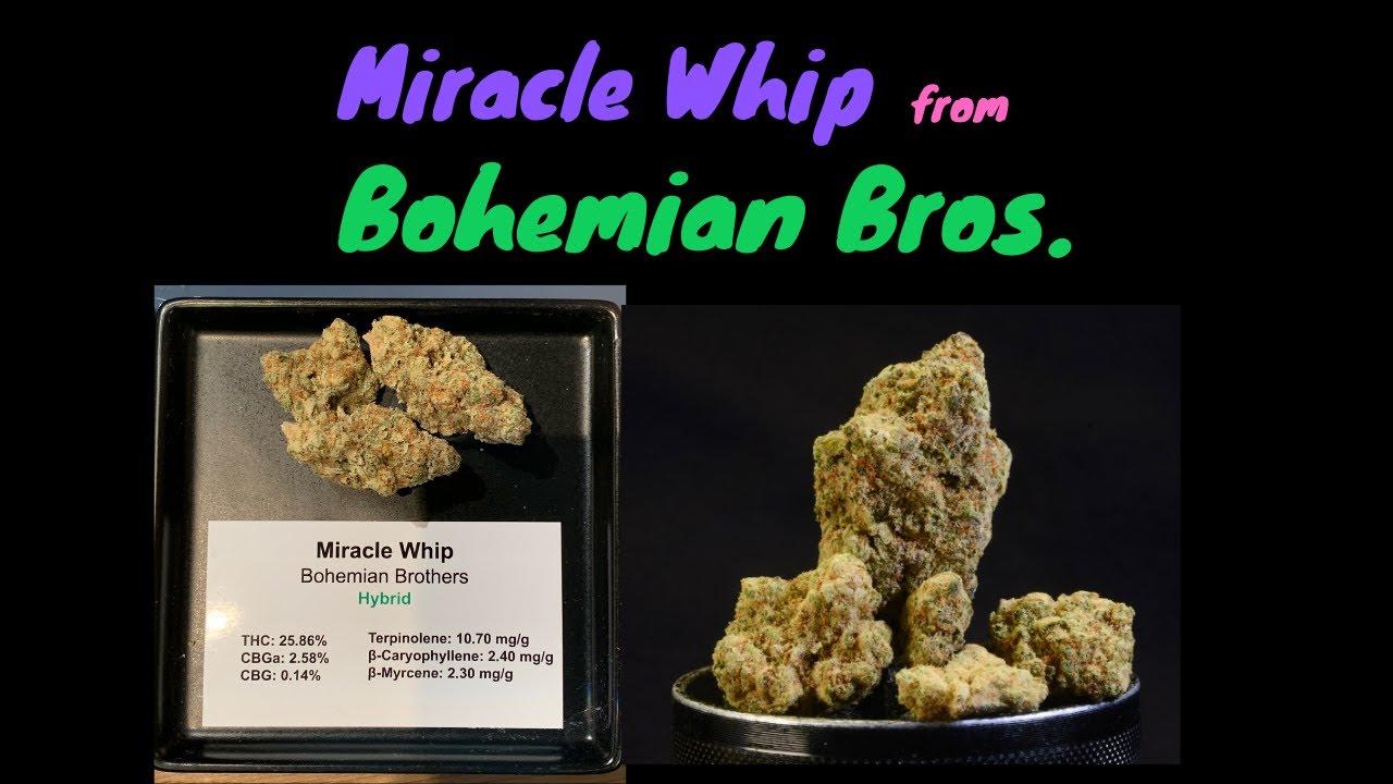 Miracle Whip from Bohemian Brothers Cannabis Strain Review