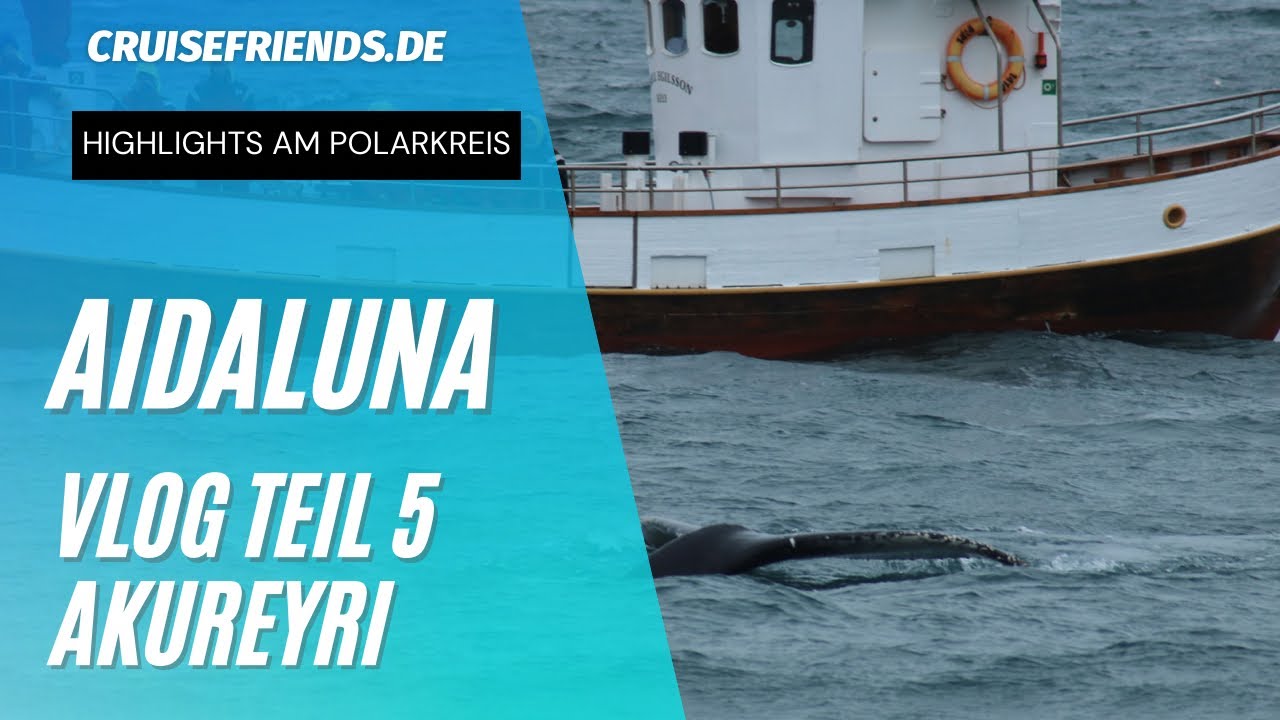 AIDAluna - Vlog Teil 5 Highlights am Polarkreis - 17.07.2022 Akureyri Walbeobachtung AIDA Kreuzfahrt