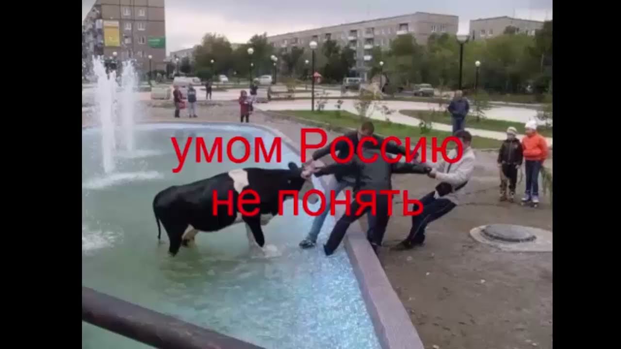 Умом Россию не понять