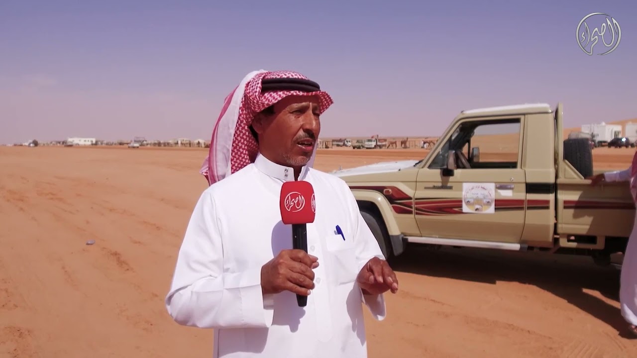 تقرير عن مزاد الإبل بالمدرج بمنطقة القصيم