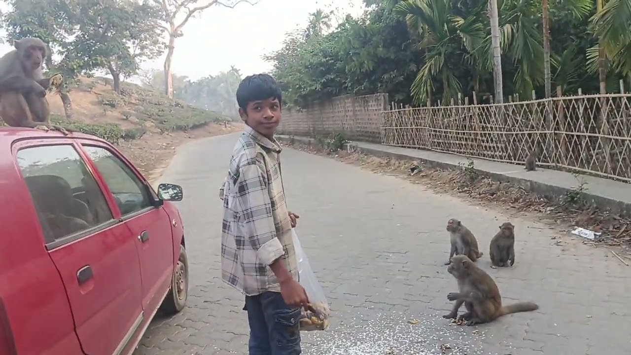১৪ ফেব্রুয়ারী, ২০২৬