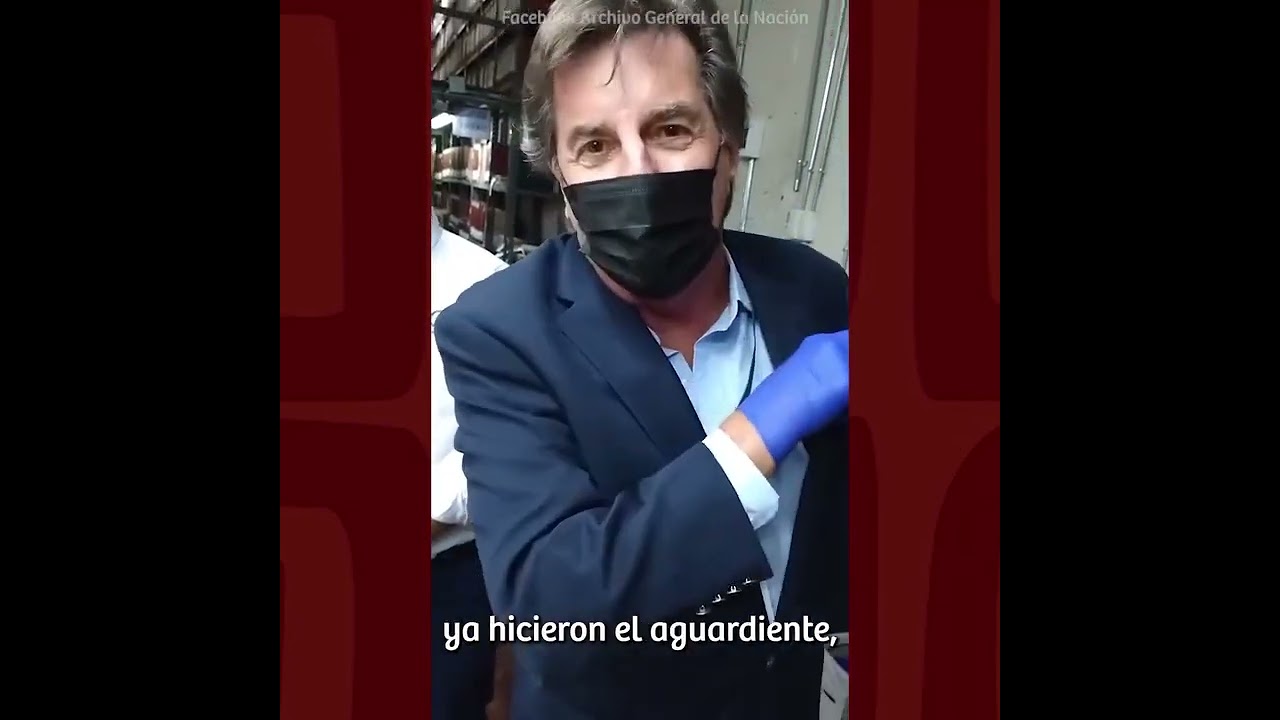 PISCO ¡Hallazgo sorprendente!🤯