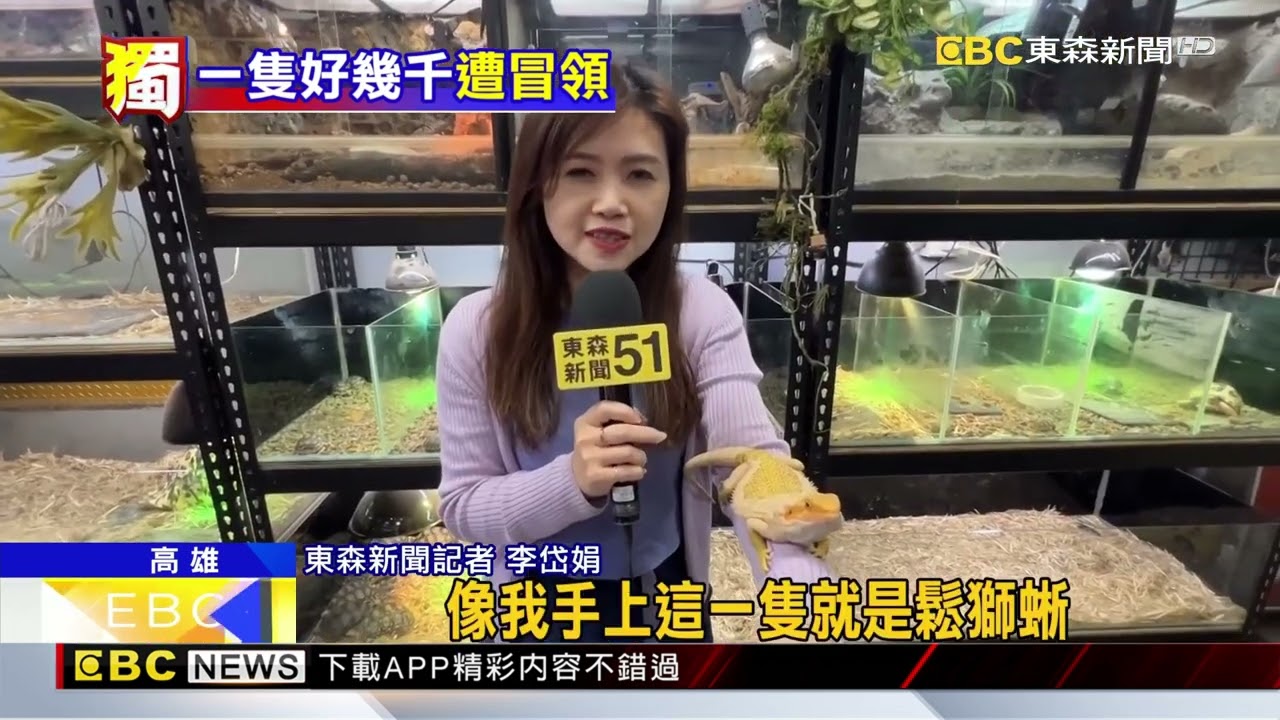 獨家》沒有照片證明！ 阿伯冒領鬆獅蜥被告侵占@newsebc