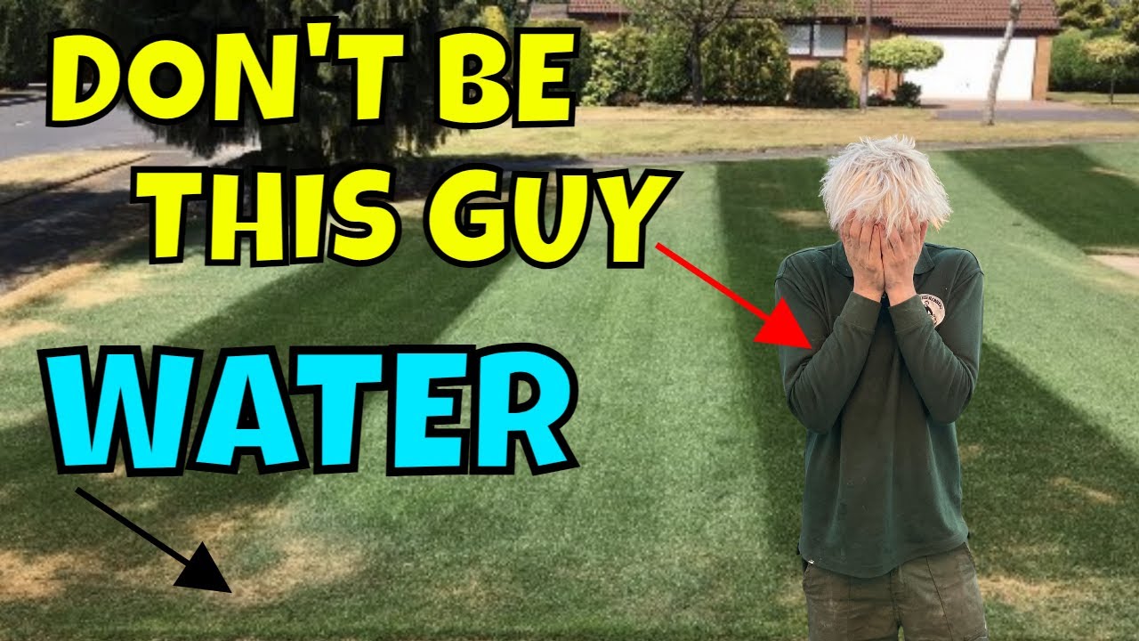 STOP your LAWN DYING when SUNNY / PRE HYDRATE Your Lawn