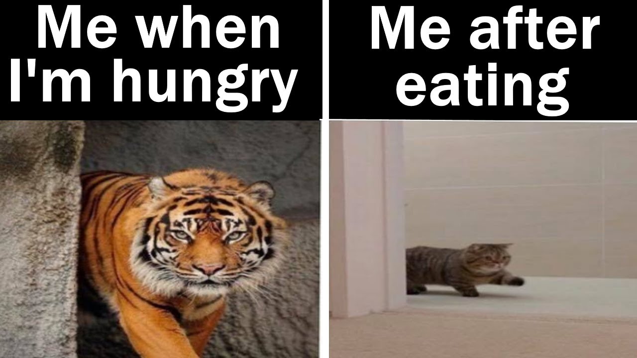 Memes That Made Me Hungry || Nightly Juicy Memes #170