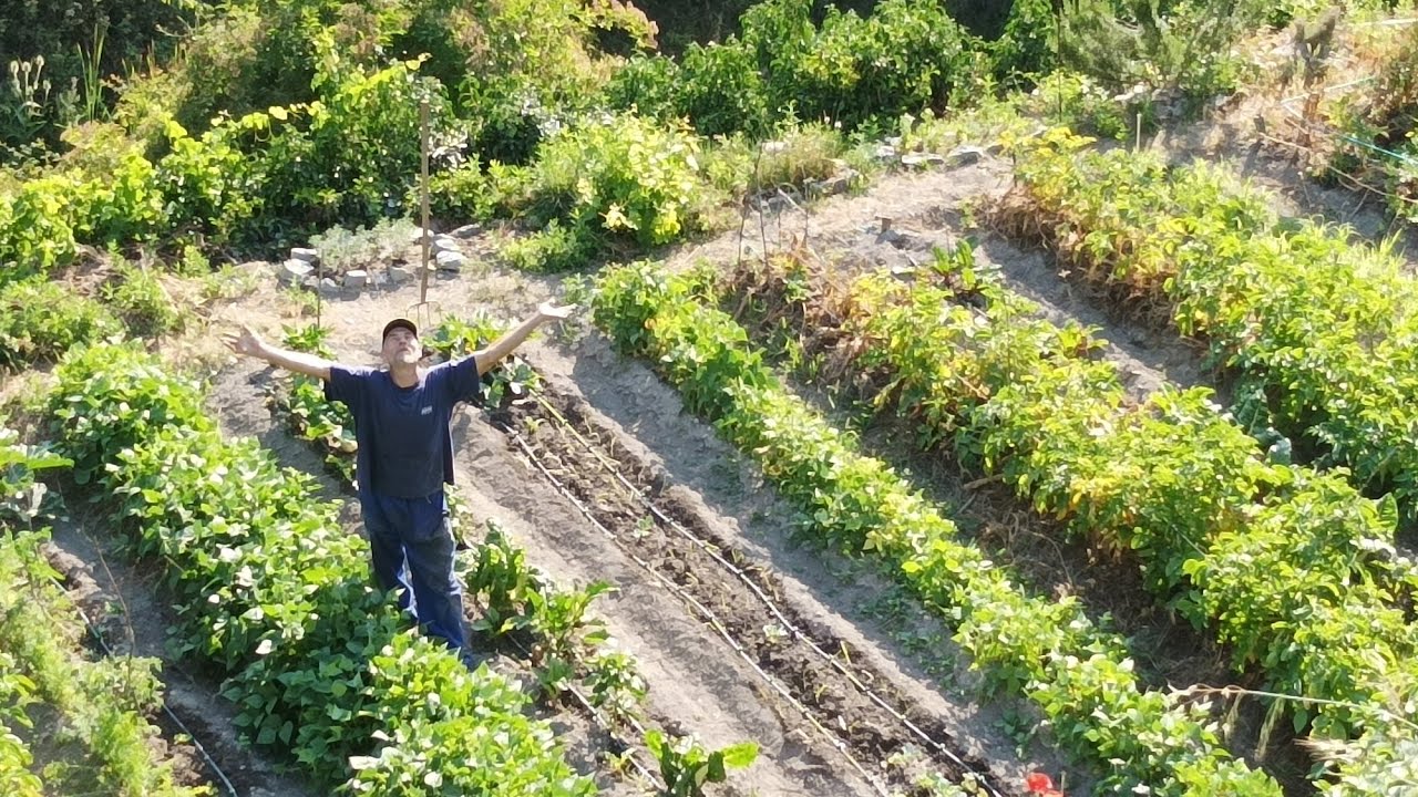 Huerto Ecológico y Filosofía de Vida con Dani. (julio 2021) Munilla, La Rioja.