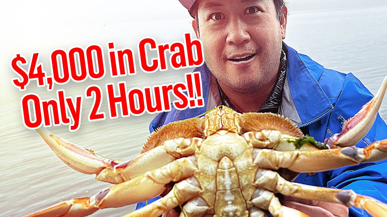 limiting out on dungeness crab in only 90 min  both days , no boat or trap needed new way
