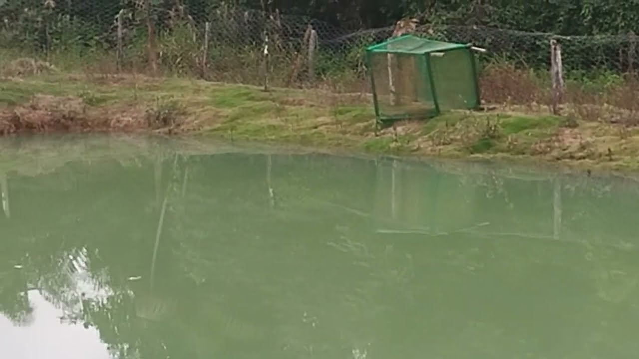 Veja como está o açude bastante cheio