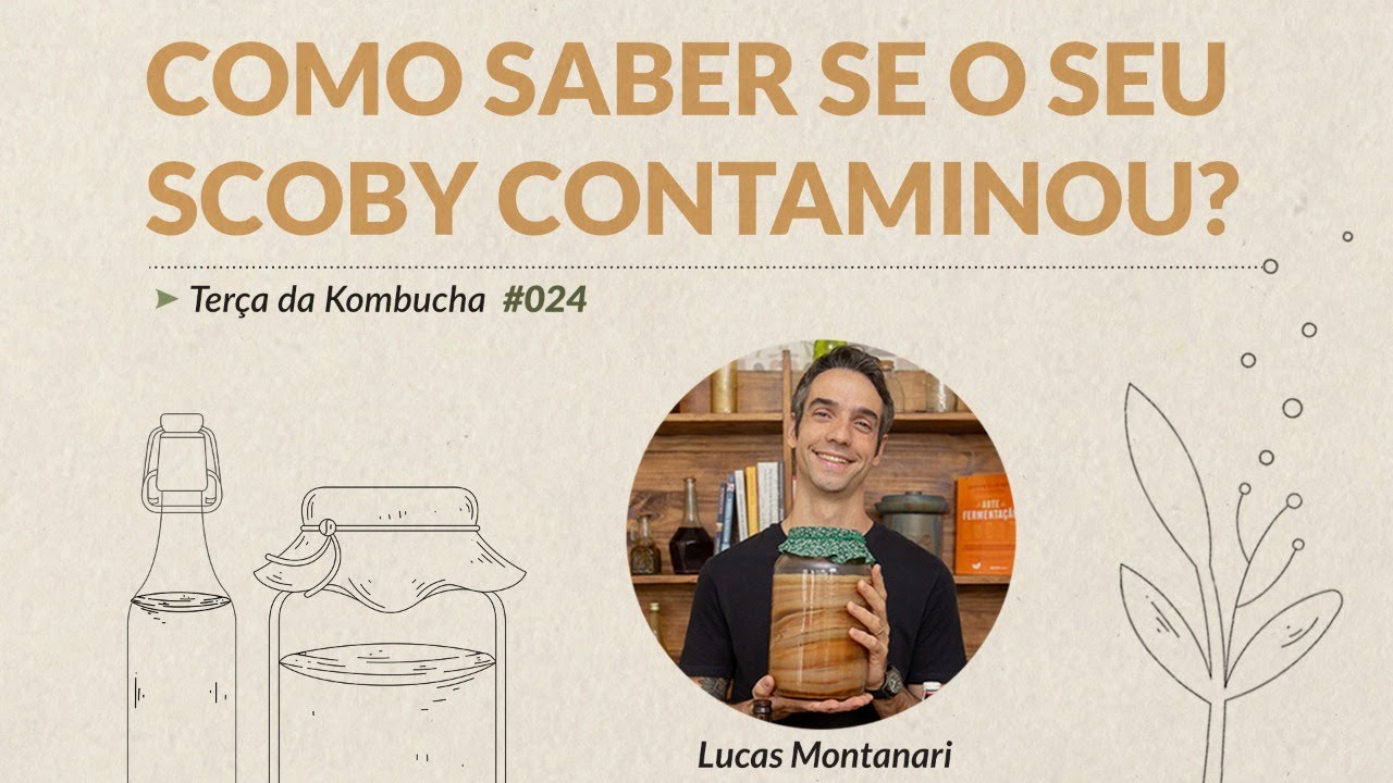 Será que sua Kombucha contaminou? - Terça da Kombucha #024