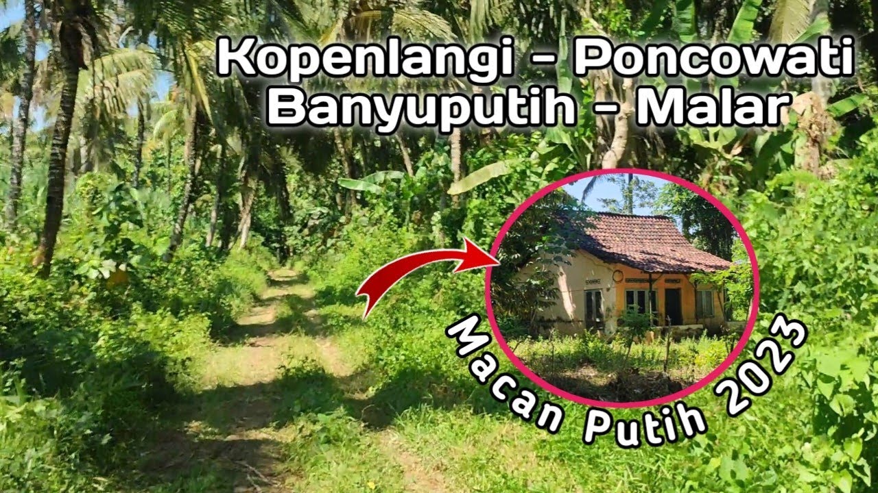 Pinggiran Desa Macan Putih || Dusun Poncowati || Mylank channel