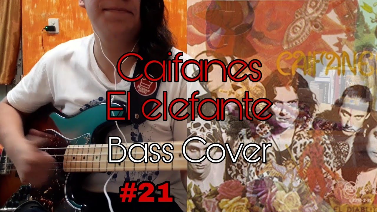 #21 El elefante - Bass Cover!