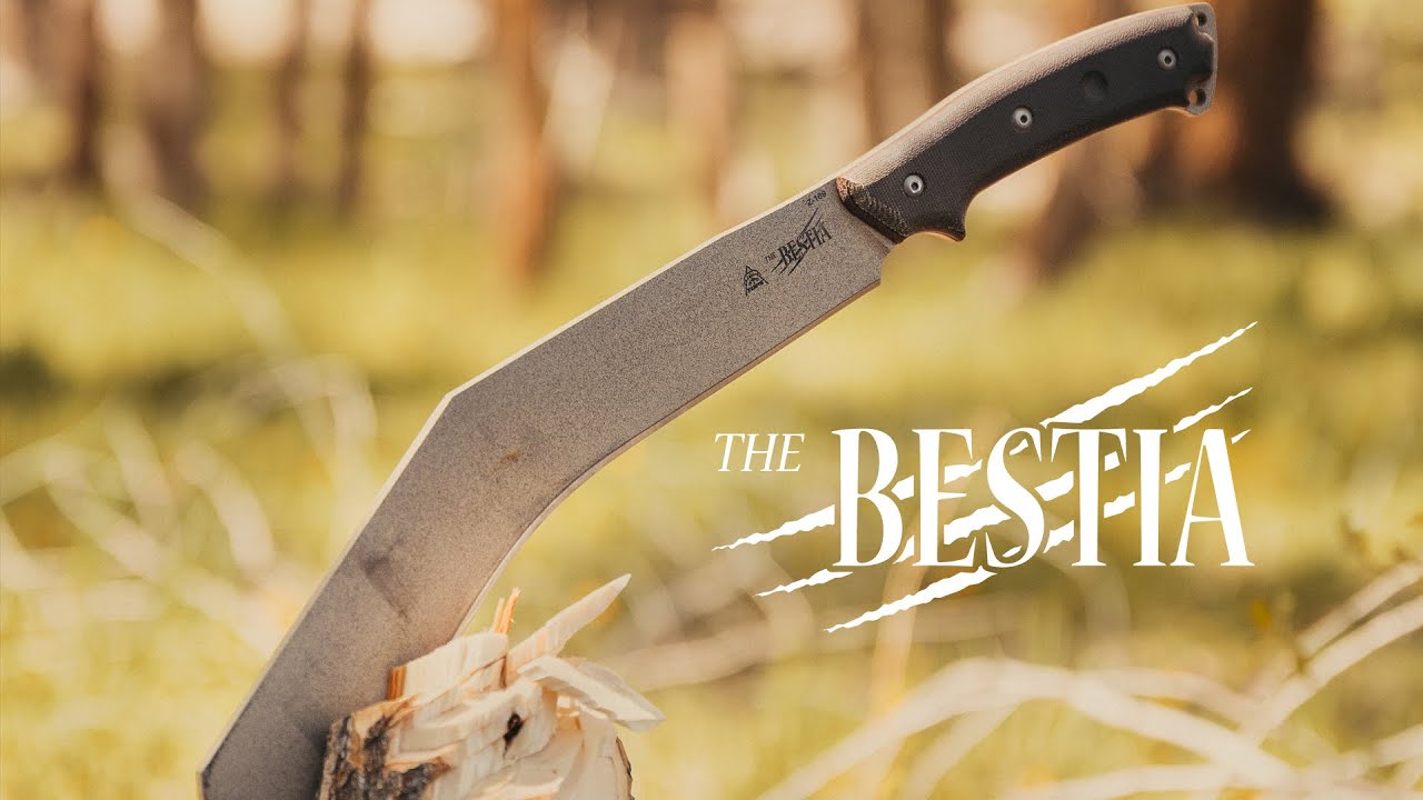 The Bestia Overview