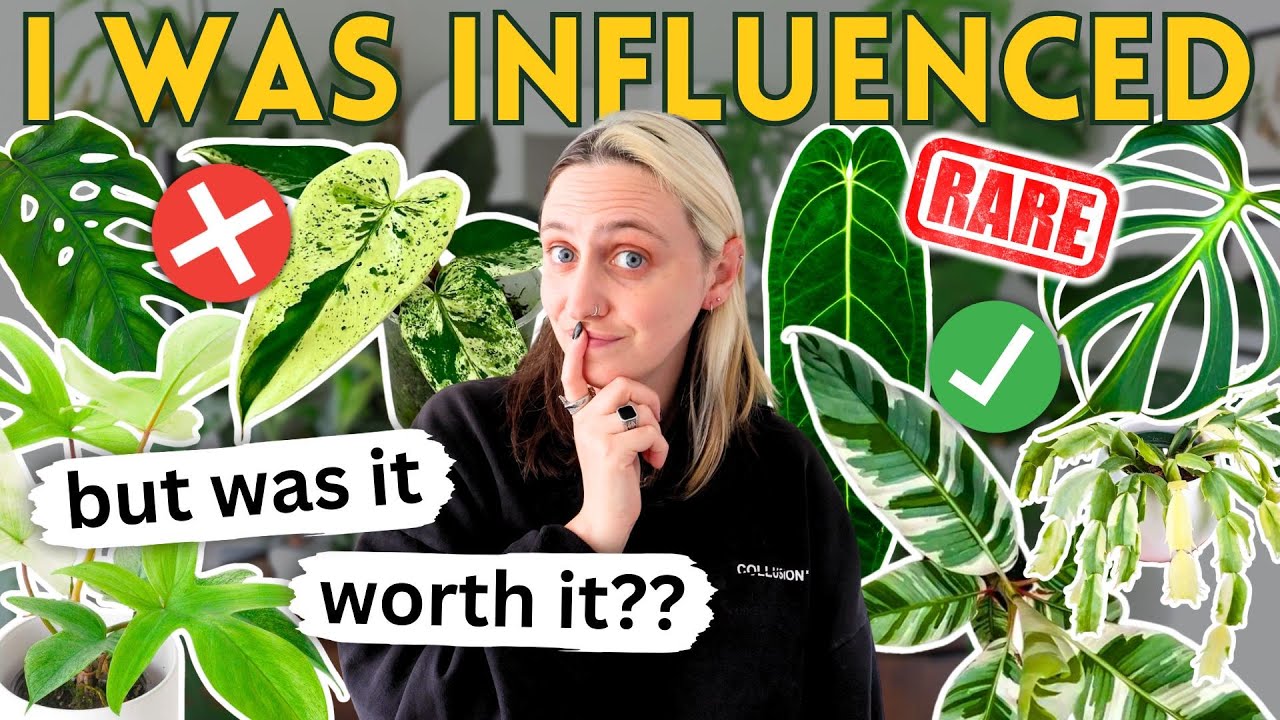 Rare Plants I Was Influenced to Buy 🌿 Were They Worth It??