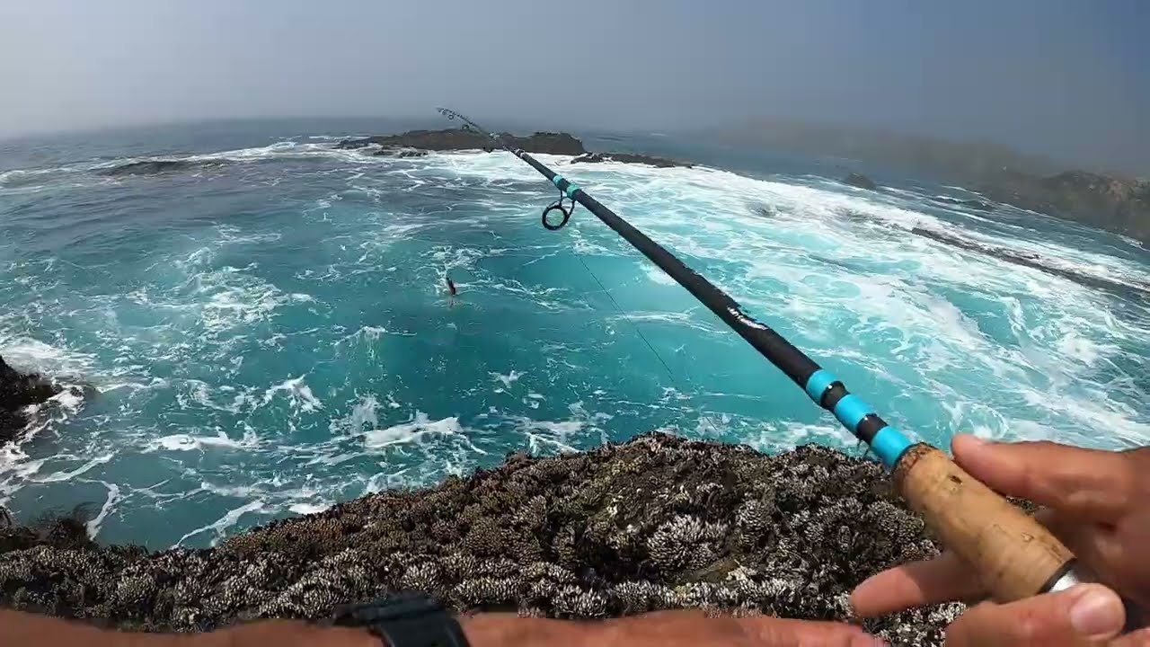 Рыбалка в глубоком синем море с берега. ПОЙМАЙ И ГОТОВЬ!