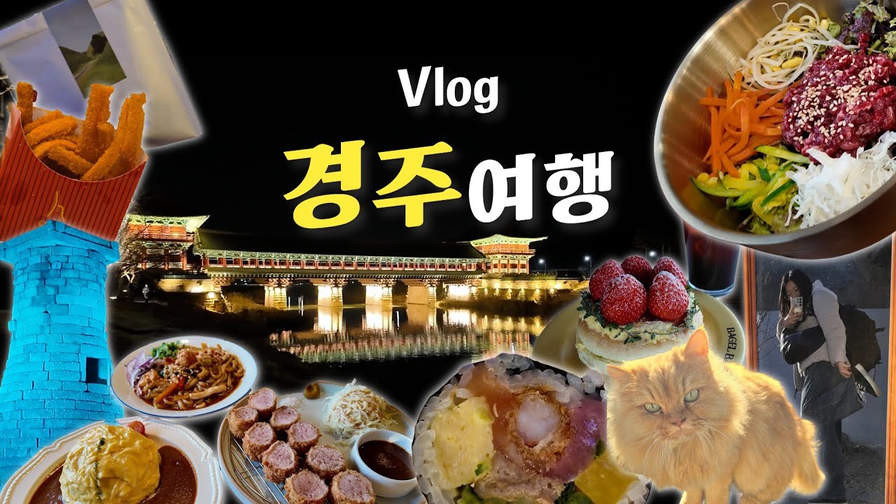 [Vlog] 먹기만 한 경주 3박4일 여행 브이로그 | 겨울 혼자 여행
