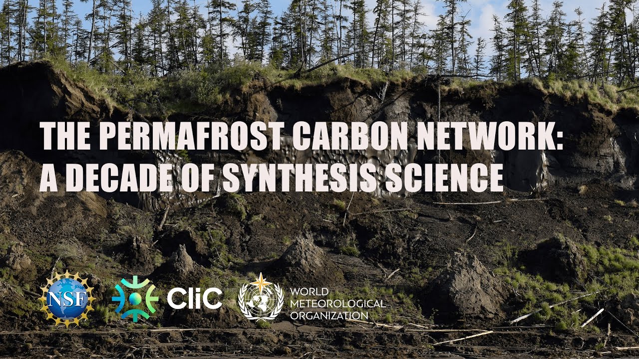 The Permafrost Carbon Network: A Decade of Synthesis Science