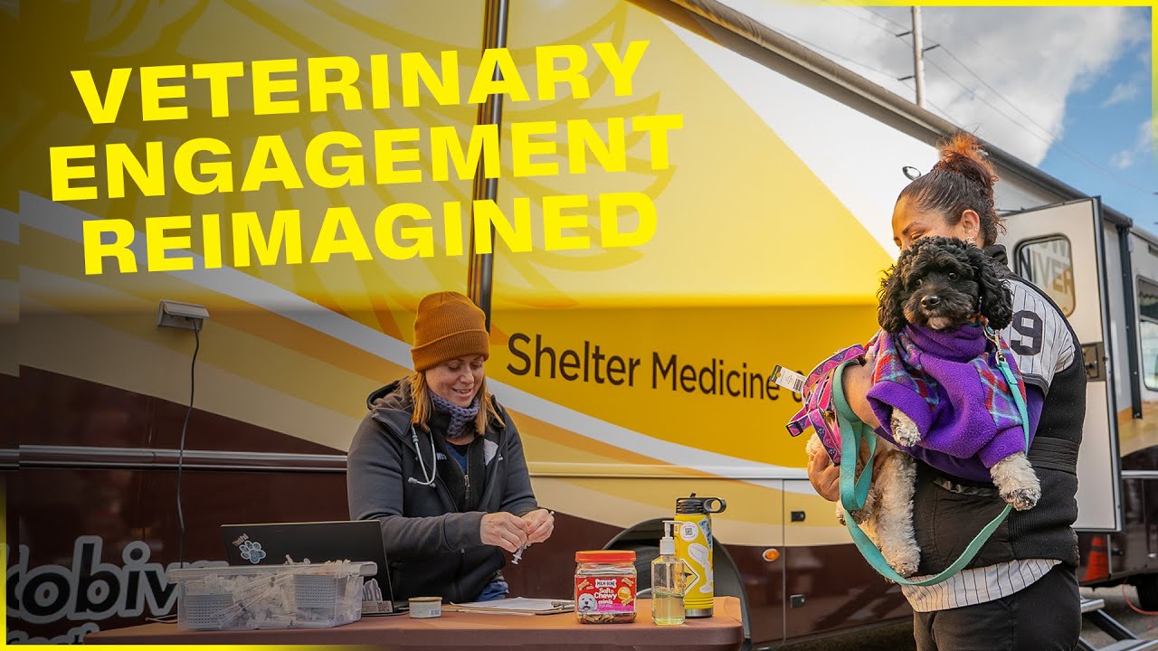 Care That Shows Commitment For Pets, People, and Students