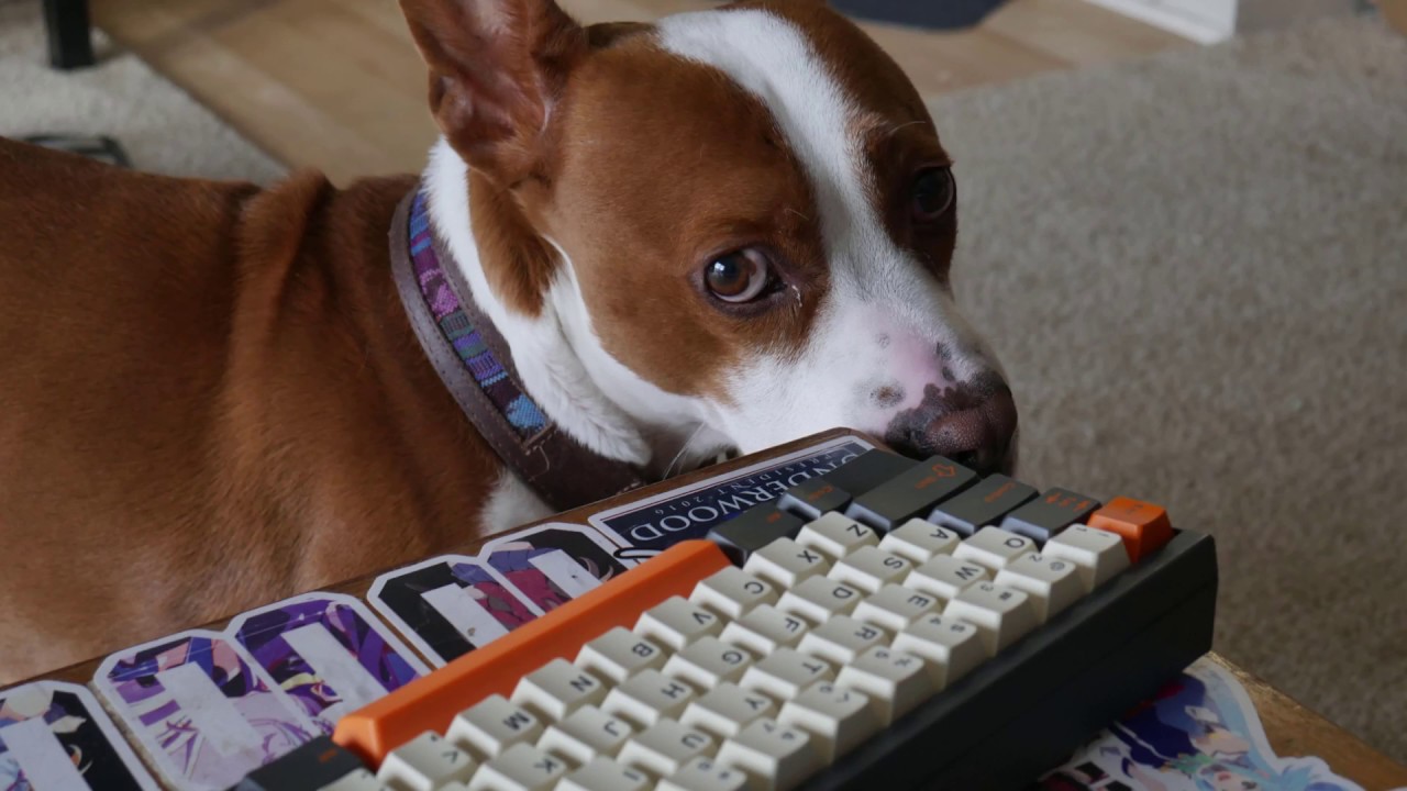 Most Beautiful Keyboard Music Video