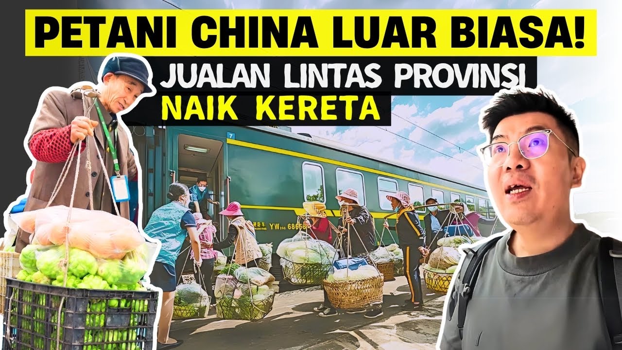 KERETA KHUSUS PETANI DI CHINA ! PETANI JUALAN LINTAS PROVINSI