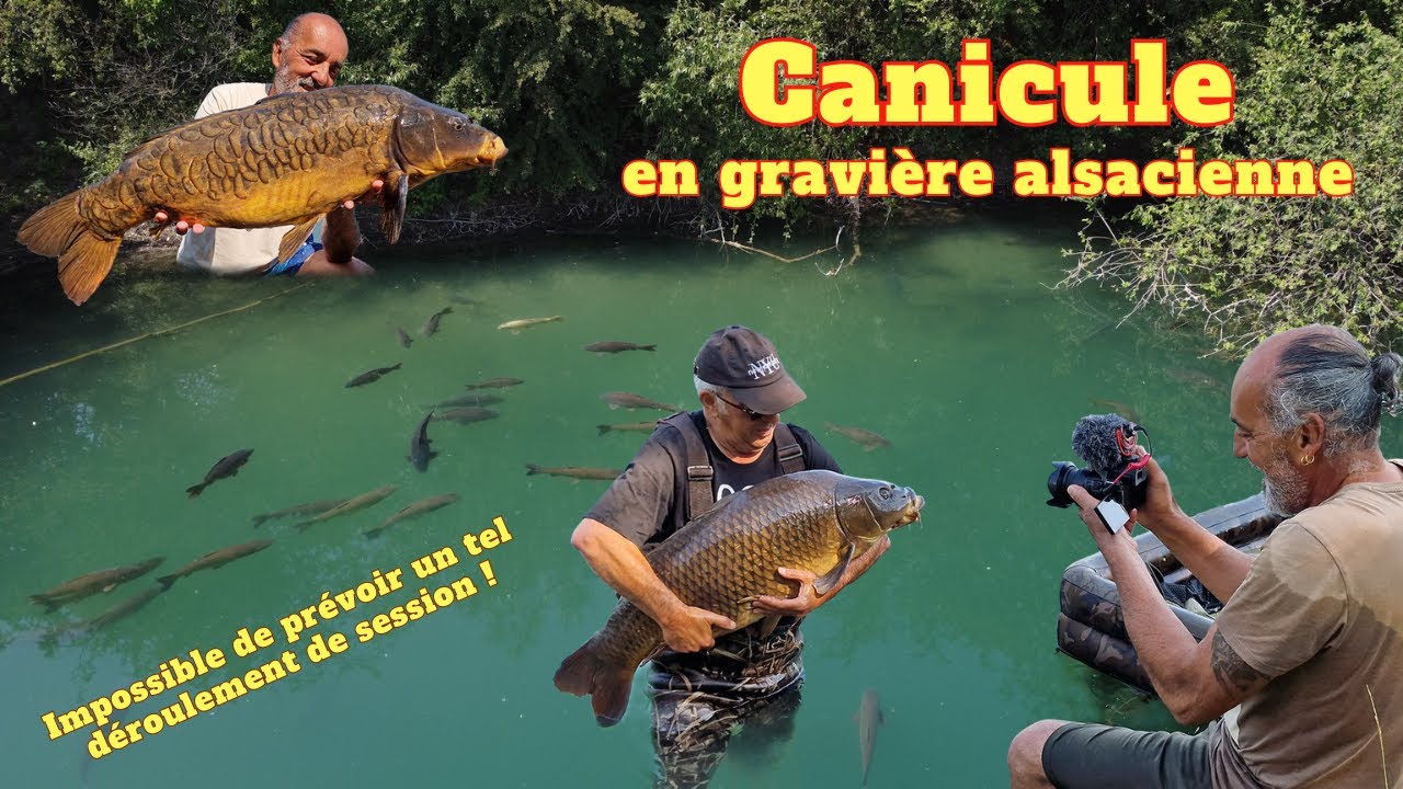 Gravi&egrave;re d'Alsace - un seul mot, 