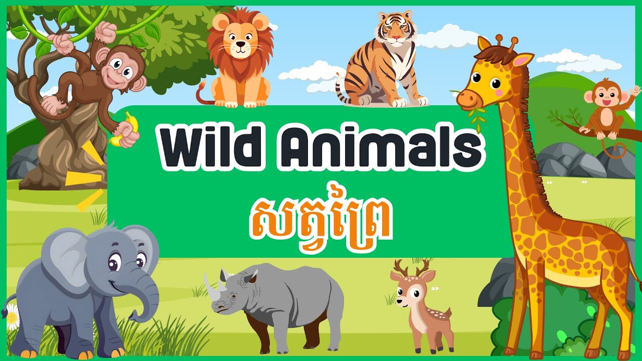 Wild Animals សត្វព្រៃ | English-Khmer Learning | រៀនពាក្យអង់គ្លេស