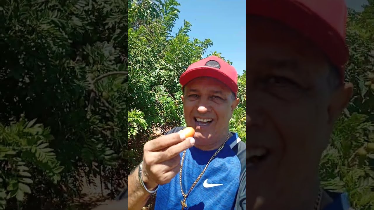 VISITANDO O SÍTIO DO AMIGO TARCÍSIO E TANDA 🌱 EM IRECÊ BA 🫛16/02/26!